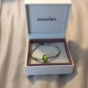 Pandora bracelet and charm